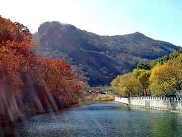 新澳天天开奖资料大全旅游团，苄基三丁基氯化铵